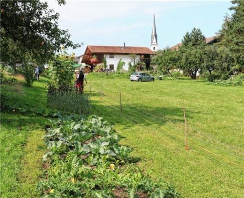 Garteln im großen Stil beim Anderl-Bauer in Frasdorf, rund 30 Gemüsesorten werden angebaut.Foto Rehberg