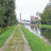 Barbe, Koppe und Steinbeißer