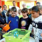 Umweltschutz durch „Prima Klima Kids“