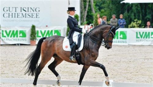 Jessica von Bredow-Werndl gewann die Qualifikation zum Louisdor-Preis mit Ferdinand und den Prix St. Georges mit Sir Max. Foto  TEAM Myrtill