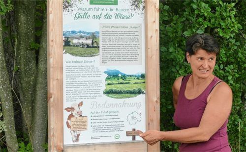 Mitinitiatorin Roswitha Estermann erklärt bei einer Wanderung den Aufbau der Tafeln.Foto hoffmann