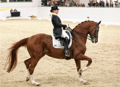 Siegerin Isabell Werth mit Quintus. Foto  Weitz