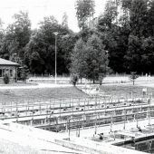 Vor 50 Jahren: Ein Tümpel neben der Kläranlage stinkt zum Himmel