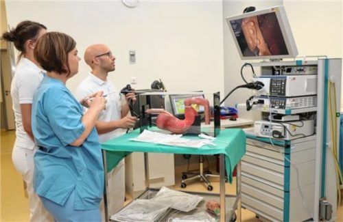 Training an Modellen für Eingriffe an den Gallenwegen, endoskopische Blutstillung und Polypenabtragung. Foto re