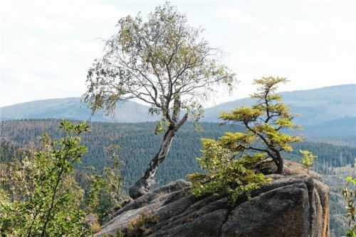 Von der Rabenklippe aus blicken Wanderer auf den berühmten Brocken. Foto Kregel