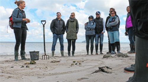 Zweimal am Tage fällt das Watt trocken – die Gelegenheit für Urlauber, um bei einer geführten Tour die höchst aktive Lebenswelt auf dem Meeresboden kennenzulernen. Foto djd/Kurverwaltung List auf Sylt/M. Steur-Fiener