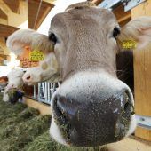Vertrauensbildende Maßnahmen für die Bauern-Seele