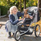 Auf den Hund gekommen