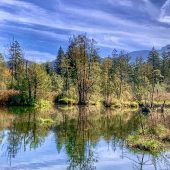 Die letzten Farben der Herbstruhe