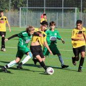 Freisinger C-Junioren rassistisch beschimpft