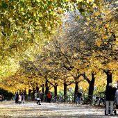 Ein Traum in Gold