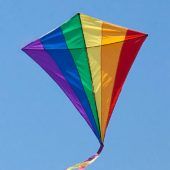 Flieg, Drache, flieg!