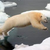 Das Wetter spielt häufiger verrückt