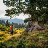 Durch die acht Alpenstaaten