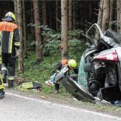 Rehe: Autofahrer kracht gegen Bäume