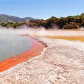 Wo Gletscher in den Regenwald reichen: Neuseeland im Cinewood