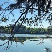 „Fast-Sommertage“ am Tinninger See