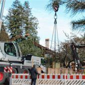 Neue Leitungen fürs Trinkwasser