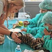 Besucherrekord im Teddybär-Krankenhaus