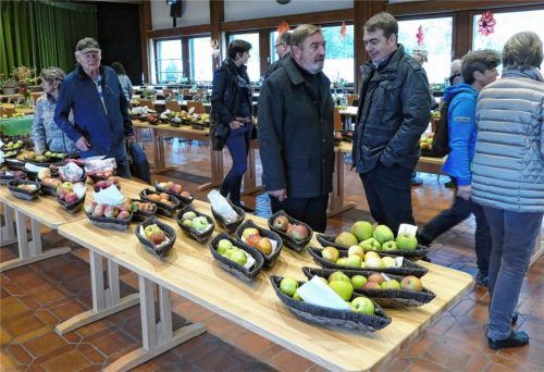 Äpfel, so weit das Auge reicht: Der Obst- und Gartenbauverein zeigte die Vielfalt aus der Region.Fotos  Hoffmann
