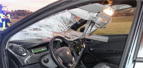 Bei Babensham sprang ein Pferd in ein fahrendes Auto. Der Fahrer, ein Ameranger (50) wurde leicht verletzt.Foto Barth