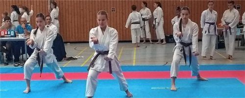Das Kata-Team des TV Feldkirchen mit Hannah Schloßer, Angelina und Julia Krause (von links) wurde süddeutscher Meister.Foto Kersting-Statt