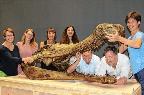Das Lokschuppen-Team mit dem Schädel eines der Exponate (von links): Stefanie Kießling, Barbara Huber, Elisabeth Scheueregger, Katrin Schmauß, Dr. Peter Miesbeck, Tom Wagner und Laura Thiemann. Foto Lokschuppen