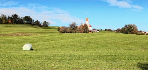 Die Kiesvorkommen unter der grünen Wiese im Vordergrund sollen nach den Vorstellungen des Betreibers der benachbarten Kiesgrube erschlossen und ausgebeutet werden.Fotos rehberg