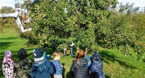Die Kinder staunten über die Apfelvielfalt auf den Bäumen von Hans Schmid.Foto Unterforsthuber