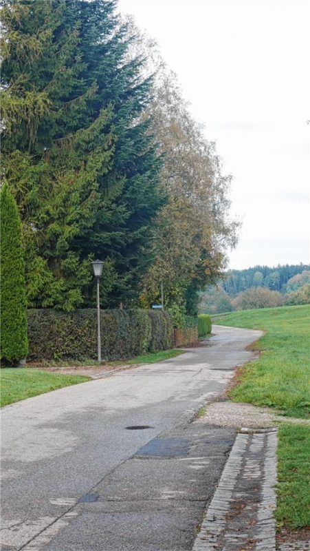 Die Straße „Am Dorfanger“ muss endgültig hergestellt werden.Foto kirchner