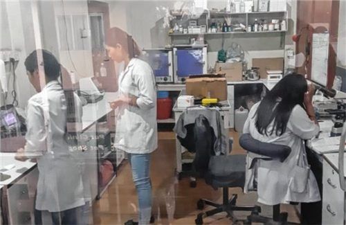 Ein Blick ins Labor in Kathmandu: Ambika Shrestha (rechts) und Laxmi Gurung (Mitte) gestern bei der Arbeit. Foto  RE