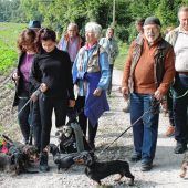 Kleine Hunde auf großer Wanderung