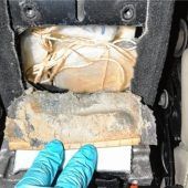 Polizei findet 12,5 Kilo Kokain