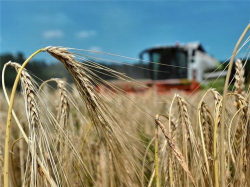 Inzwischen setzten auch Landwirte im Landkreis auf Bio. Eine Woche lang informieren jetzt verschiedene Einrichtungen über das, was es an Bio im Landkreis gibt. Foto  DPA