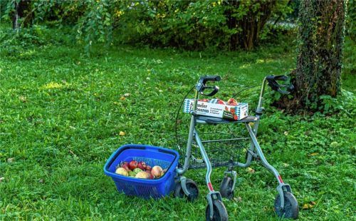 Rollator und Gartenarbeit vertragen sich schlecht, doch nicht nur ältere Mitmenschen können schnell in Situationen kommen, bei denen eine kurzfristige Hilfe Gold wert wäre. In Vogtareuth möchte in Zukunft ein Verein hier Lösungen anbieten.Fotos thomae