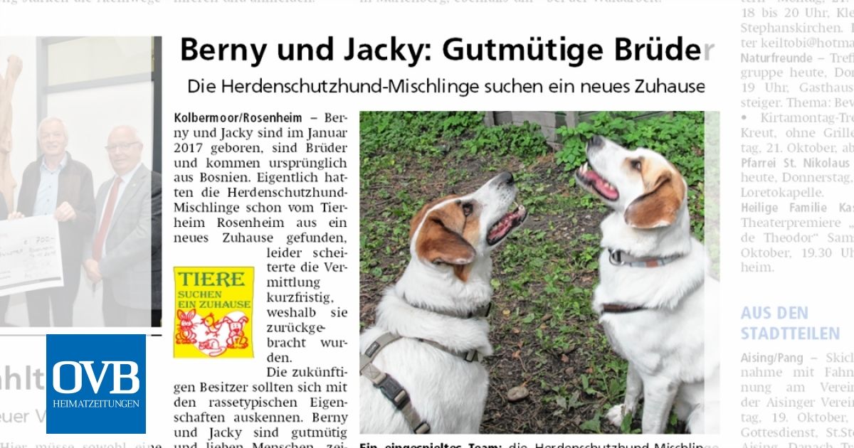 Berny Und Jacky Gutmutige Bruder Ovb Heimatzeitungen