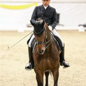 Hervorragend besetzt