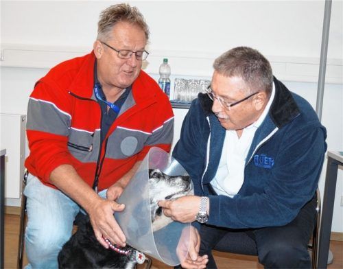 Verstanden sich auf Anhieb: „Aileen“, Rettungshündin a. D., und Günter Auer (rechts) der sich spontan entschlossen hat, die Hundesteuer zu übernehmen und gestern Hundeführer Jürgen Zabelt in der Geschäftsstelle der Waldkraiburger Nachrichten ein Kuvert mit 500 Euro übergab. Den Trichter muss Aileen nach einer Augenoperation tragen, damit sie sich nicht verletzen kann.Foto  Grundner