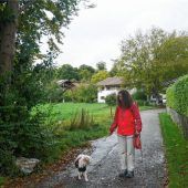 Hunde-Gift: Brandgefährlich für Kinder