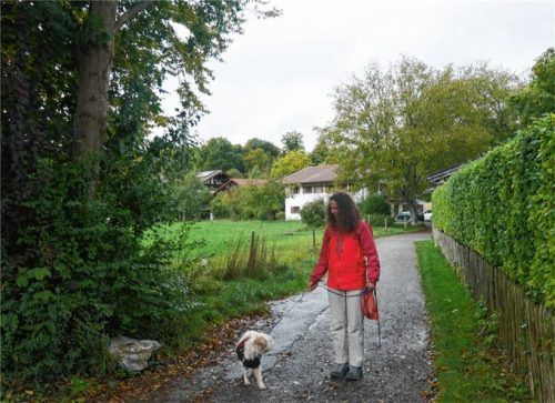 Wachsamkeit ist auch auf der beliebten Gassi-Strecke im Priener Eichenthal gefragt, wo wie in Bernau bereits Verdachtsfälle aufgetreten sind.Fotos Kirchner/Re