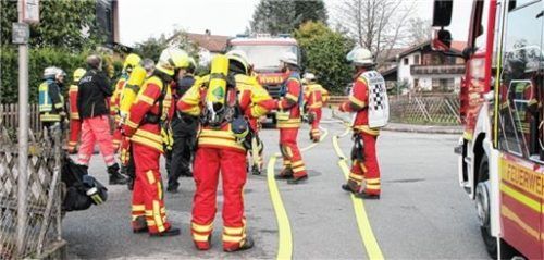 Zahlreiche Feuerwehren aus der Region waren in Thansau im Einsatz. Foto Reisner