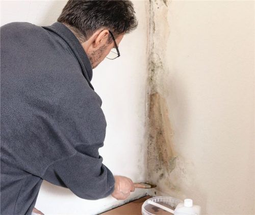 Zeigen sich die ersten Schimmelflecken, ist schnelles Handeln geboten. Foto kreidezeit.de