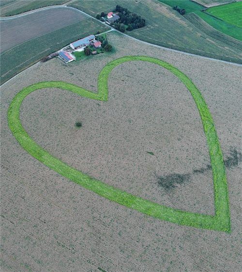 Zu sehen ist das 400 mal 400 Meter große Symbol der Zuneigung aber nur aus der Luft. Fotos auer