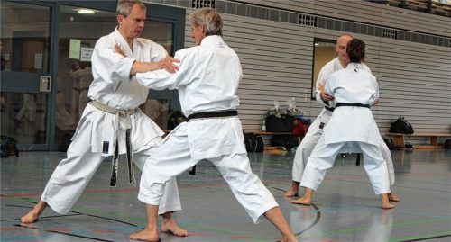 Karate und 19 weitere Sportarten werden im VfL Waldkraiburg betrieben.Foto Meier