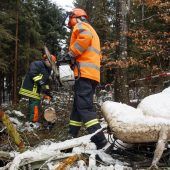 Tod des Thermenkönigs rekonstruiert