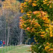 Bayerns Wälder unter Stress