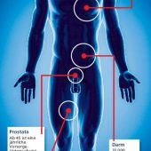 In sieben Schritten zum Männer-TÜV