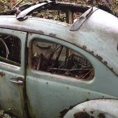 Bastler aus Kraiburg graben nach 50 Jahren VW Käfer aus