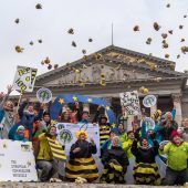 Die Bienenretter machen Druck auf Brüssel