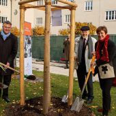 Donum Vitae: Ein Ginkgo-Baum zum Jubiläum